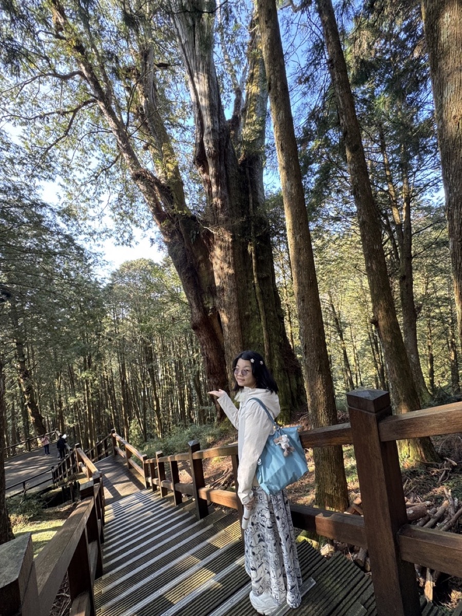阿里山巨木群實走心得：圓心中一個念想