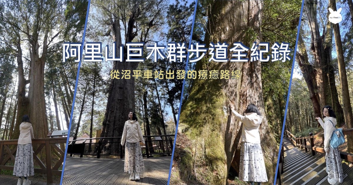 阿里山巨木群棧道旅遊攻略,包含香林神木與28號巨木實走心得,從沼平車站出發的療癒路線紀錄