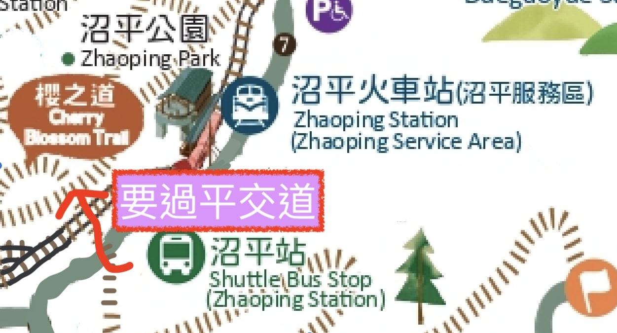 阿里山園區內交通困惑解答：小火車、遊園車怎麼組合？3 大路線，找到你的『黃金組合』