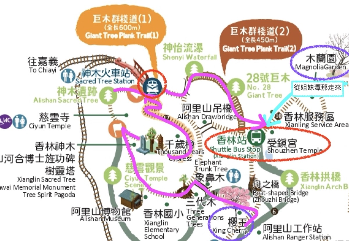 阿里山園區內交通困惑解答：小火車、遊園車怎麼組合？3 大路線，找到你的『黃金組合』