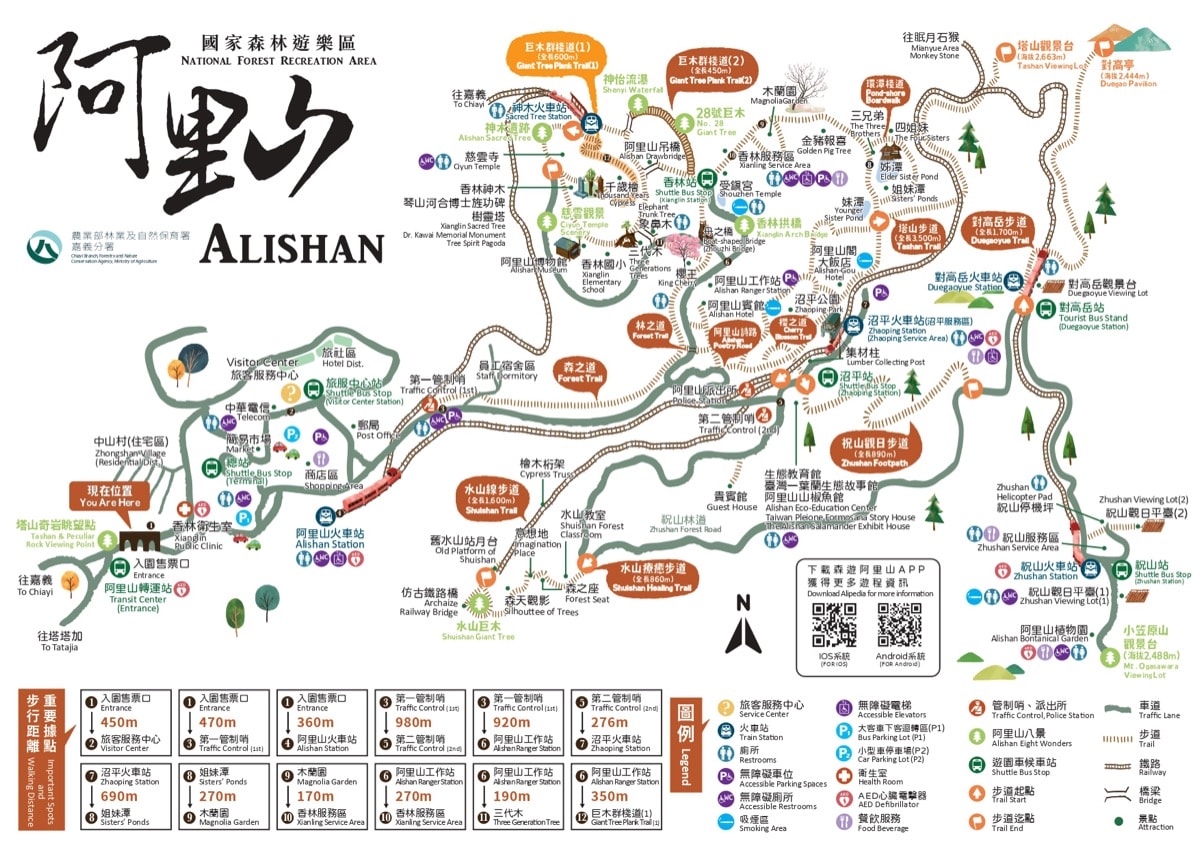 阿里山園區內交通困惑解答：小火車、遊園車怎麼組合？3 大路線，找到你的『黃金組合』
