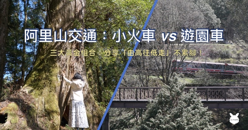 阿里山森林遊樂區交通攻略-小火車與電動遊園車路線圖